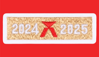 2024-25 Barcelona LA LIGA CHAMPIONS Official Football Player Issue Size Soccer Badge Patch