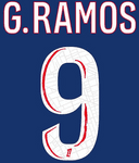 2024-25 PSG Paris LIGUE 1 Home Shirt G.RAMOS#9 Official Player Issue Size Name Number Set