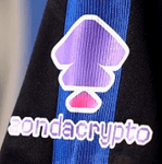 2024-26 Atalanta Home/Away/Third Shirt ZONDACRYPTO Official Player Issue Size Football Sponsor Logo