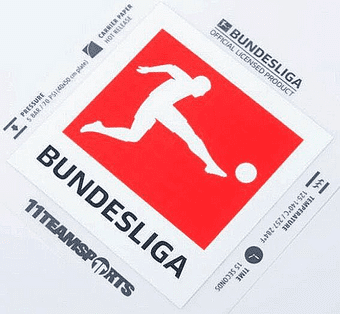 2024-26 DFB German BUNDESLIGA Official Player Issue Size Football Soccer Badge Patch