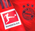 2024-27 DFB German BUNDESLIGA Official Player Issue Size Football Soccer Badge Patch