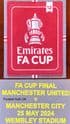 2024 Manchester United FA CUP FINAL Official Player Size Match Day Transfer & Badge Patch Set