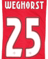 2025-26 Ajax**EREDIVISIE & UCL**Home Shirt WEGHORST#25 Official Player Issue Size Name Number Set