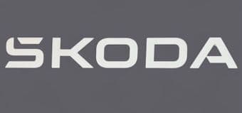 2025-26 Chelsea Women SKODA Third Shirt Official Player Issue Size Football Sponsor Logo