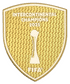 2025-26 Paris PSG Intercontinental Cup Champions 2025 Official Player Issue Football Badge Patch
