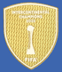 2025-27 Paris PSG Intercontinental Cup Champions 2025 Official Player Issue Football Badge Patch