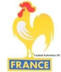 France Custom Fan Style Embroidered Football Soccer Badge Patch