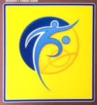 Russia CONFEDERATIONS CUP FAIR PLAY 2017 Official Player Issue Size Football Soccer Badge Patch