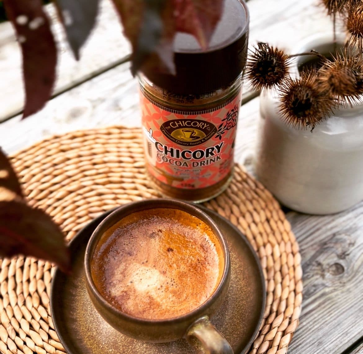 chicory coffee alternative