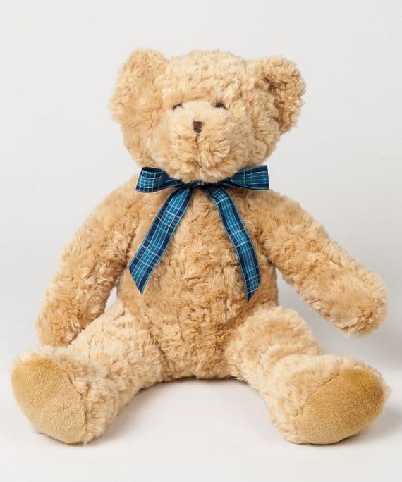 ELISE LYALL SCHOOL OF DANCE BRACKEN BEAR WITH T-SHIRT & EMBROIDERED LOGO