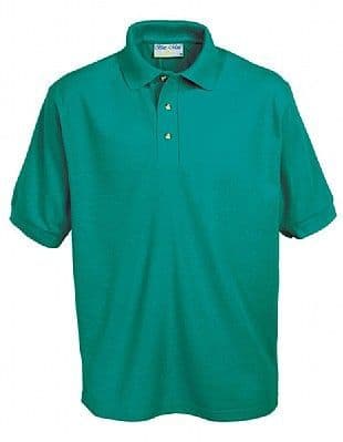 NEWTON PARK NURSERY SCHOOL JADE POLO SHIRT WITH LOGO