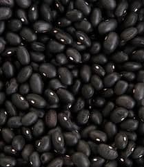 Black Turtle Beans Organic Bulk Pack