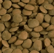 Brown Lentils Organic Bulk