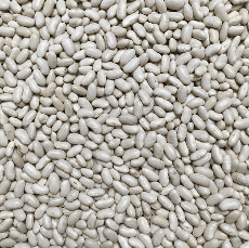 Cannellini Beans Organic Bulk Pack