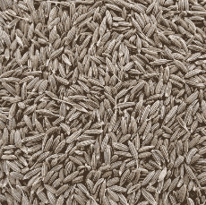 Caraway Seed 1kg