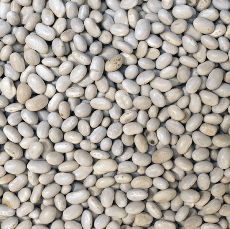 Haricot Beans Organic Bulk