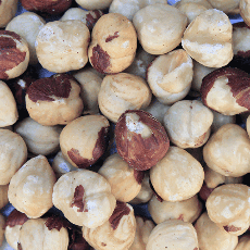 Hazelnuts Roasted Organic Bulk Pack 10kg