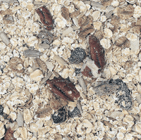 Infinity Foods Organic Gluten Free Muesli