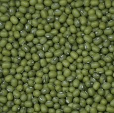 Mung Beans Organic 1kg