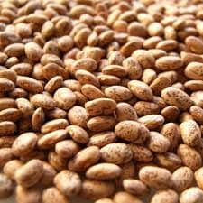 Pinto Beans Organic 1kg