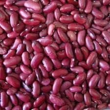 Red Kidney Beans Organic Bulk