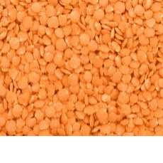 Red Split Lentils Organic Bulk