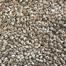 Tiger Nuts Blanched Organic 10kg