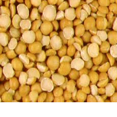 Yellow Split Peas Organic Bulk