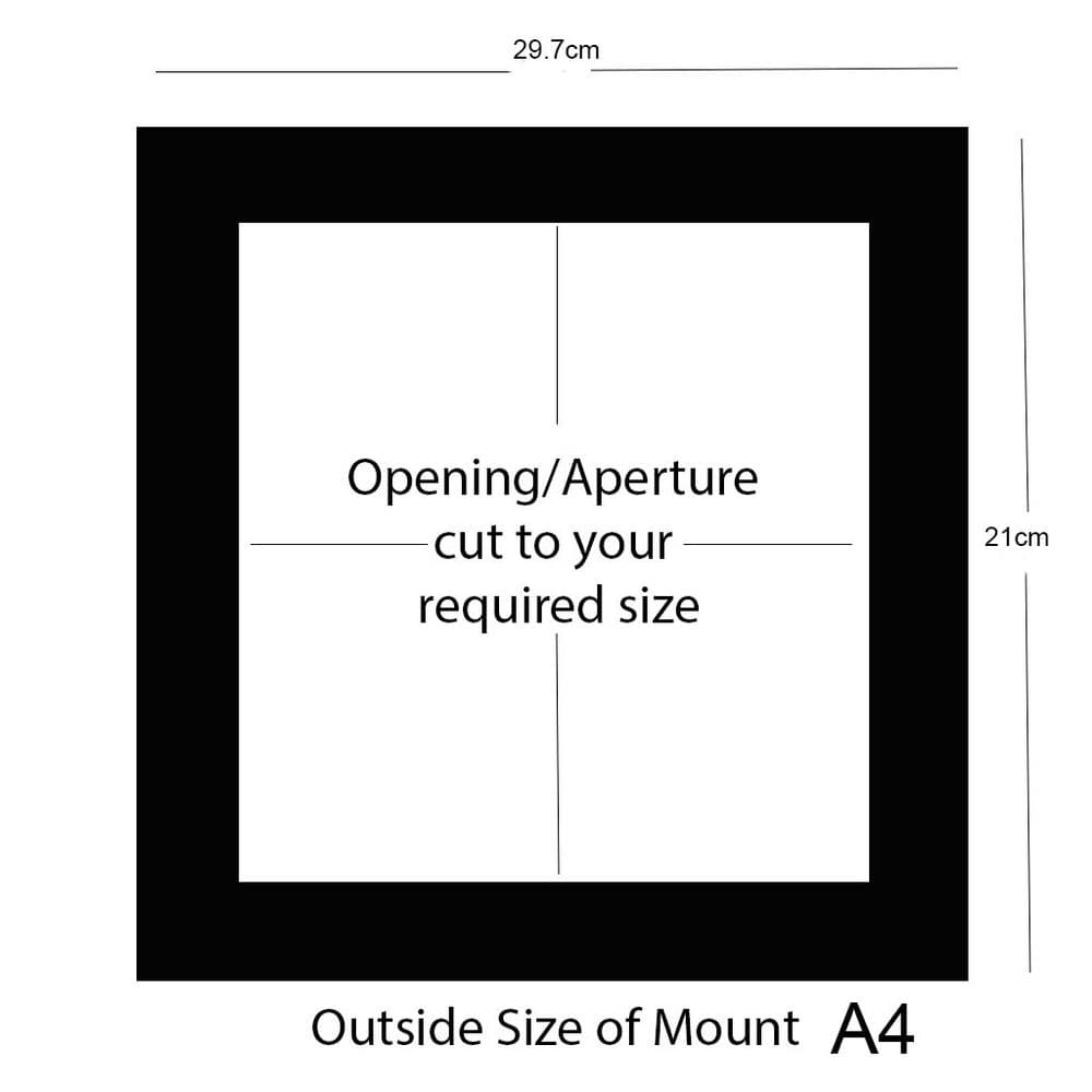 A4 External Size Double Mount, Back Board & Bag