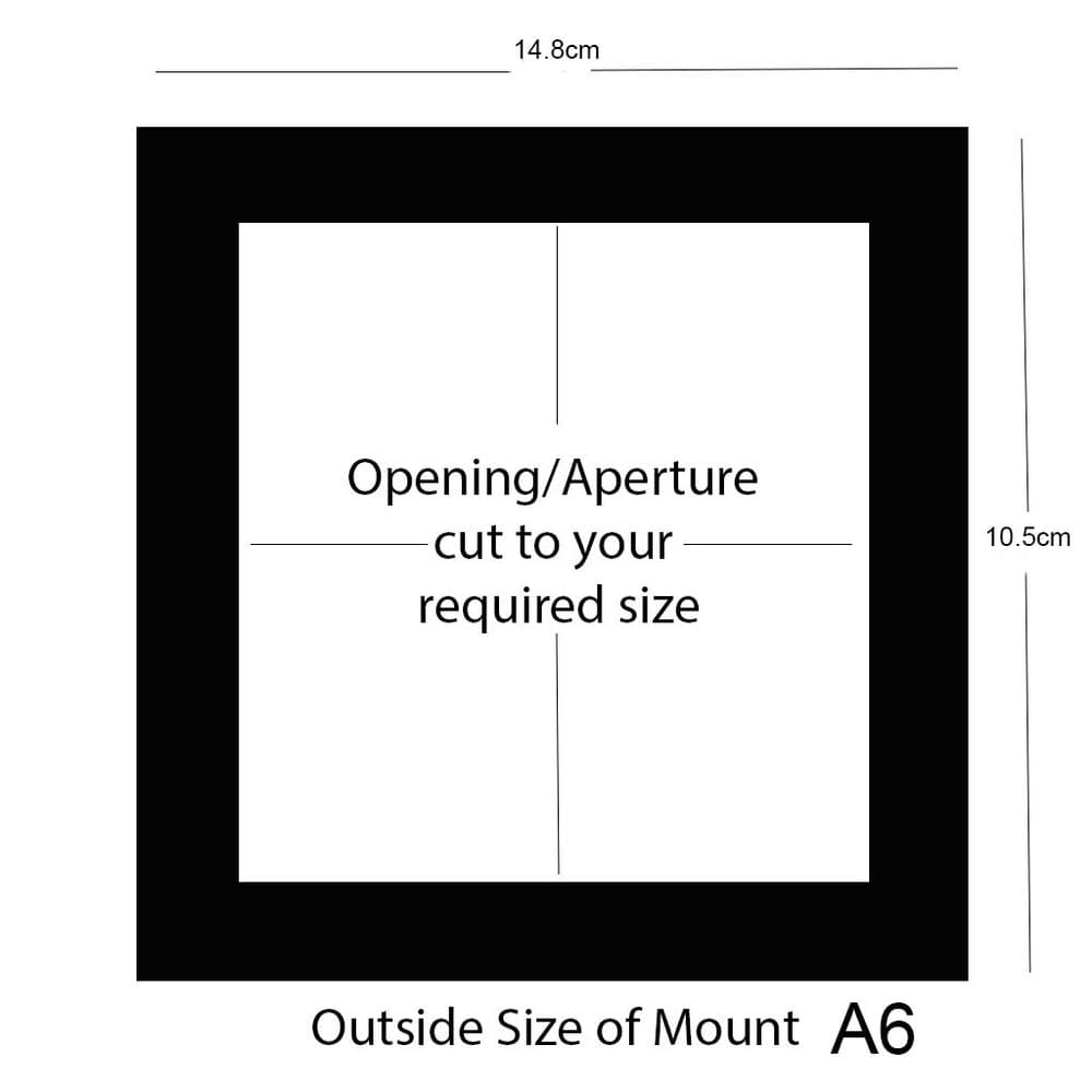 A6 External Size Double Mount, Back Board & Bag