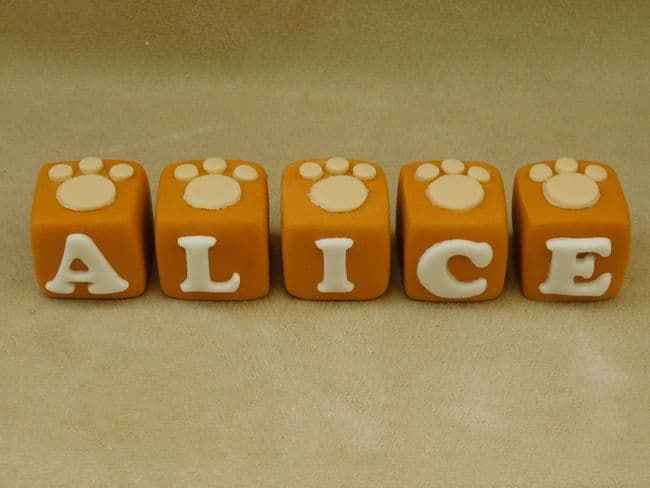 Name Blocks with Paw Prints