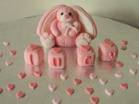 Rabbit Edible Cake Topper, Name Blocks & Hearts