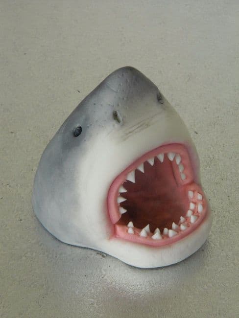 Sharks Head Cake Topper
