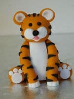 Tiger & Name Blocks