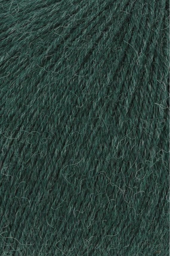 ALPACA SOXX 018 bottle green