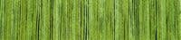 El Linio 2286 reed