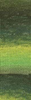Lang Yarns MERINO 120 Degradé 0002 green