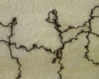 Schoppel-Wolle ARTFELT PAPER 1.6 x 3m Triangle