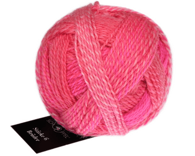 Schoppel-Wolle BROTHERS 6-ply 2701 Willy