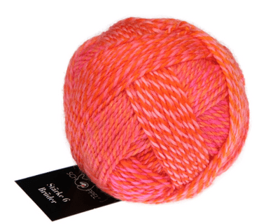 Schoppel-Wolle BROTHERS 6-ply 2705 Gerhard