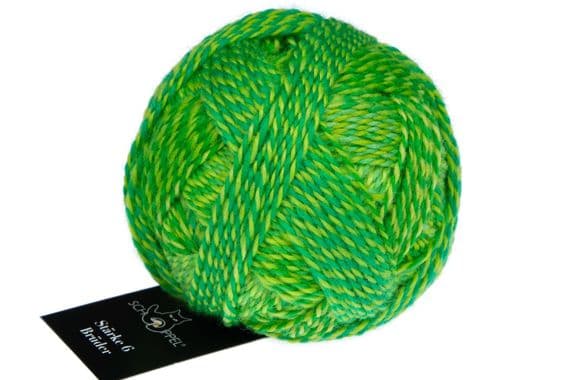 Schoppel-Wolle BROTHERS 6-ply 2707 Frank Walter