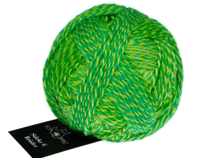 Schoppel-Wolle BROTHERS 6-ply 2707 Frank Walter
