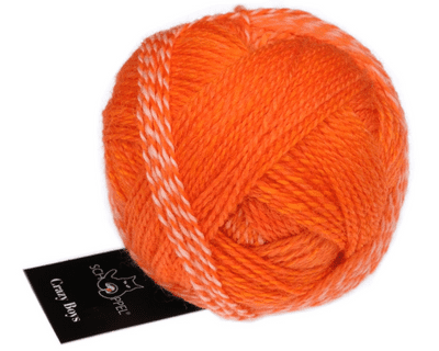 Schoppel-Wolle CRAZY BOYS 2699 Helmut