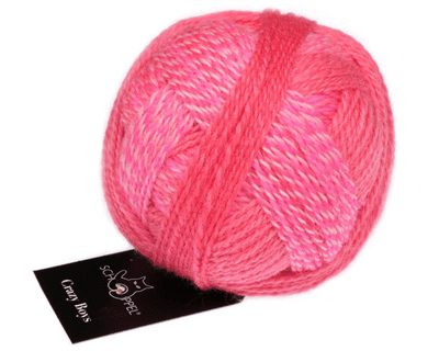 Schoppel-Wolle CRAZY BOYS 2701 Willy