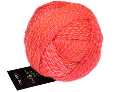 Schoppel-Wolle CRAZY BOYS 2705 Gerhard