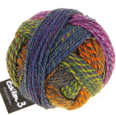 Schoppel-Wolle EDITION 3 Garden days 2328