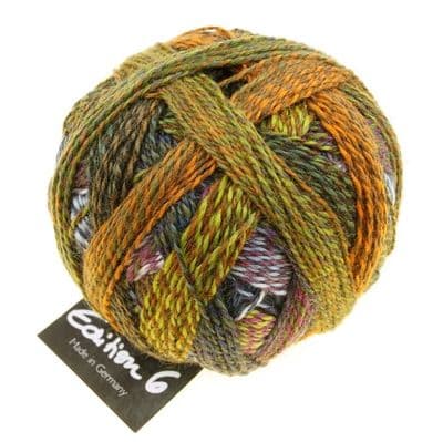 Schoppel-Wolle EDITION 6 Garden days 2328