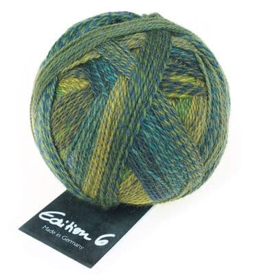 Schoppel-Wolle EDITION 6 Soil sample 2297