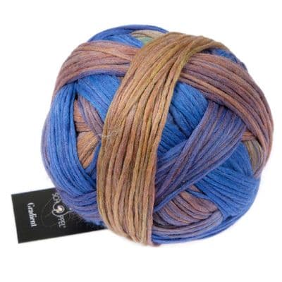 Schoppel-Wolle GRADIENT early bird 2623