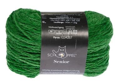 Schoppel-Wolle SENIOR 2606 Green, yes, green by Dibadu